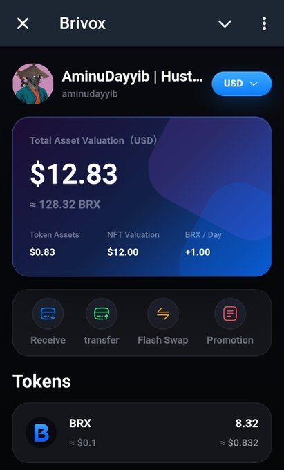 The image shows a Brivox wallet app displaying a "Total Asset Valuation (USD)" of $12.83 with an account under the username "AminuDayyib," including 8.32 BRX tokens. The screenshot illustrates the post's warning about the $BRIVOX project by showing a low-value wallet balance, emphasizing the disappointing returns despite bringing thousands of users to the platform.