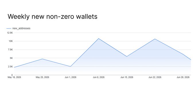 The image is a line chart titled "Weekly new non-zero wallets" tracking new_addresses from May 18, 2026 to June 29, 2026, with values fluctuating between roughly 2.5K and 11K and peaking around June 8 and June 22, 2026—visually reinforcing the post's claim that 5-10K new non-zero wallets per week is becoming the norm on Stacks.