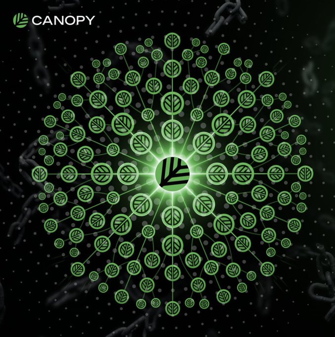 The "CANOPY" logo appears in the top left corner above a glowing green mandala-like network of interconnected leaf and circular icons radiating from a central node on a dark background. The image visually reinforces the post's theme of $CNPY expanding an interconnected ecosystem of onchain builders, with the central hub and branching network symbolizing how the platform links talented individuals and small teams together to create applications more easily.
