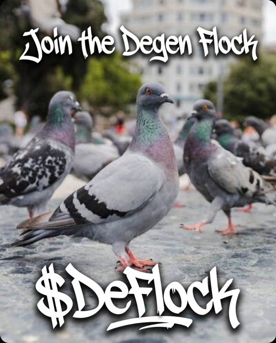 A meme featuring pigeons with the text "Join the Degen Flock" at the top and "$DeFlock" at the bottom, promoting a cryptocurrency token.