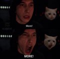A meme of a surprised man yelling "MORE!" at a cat, referencing the post's excitement about $CASHCAT returning to a $100M market cap. The image expresses eagerness for the token's price to keep climbing further.