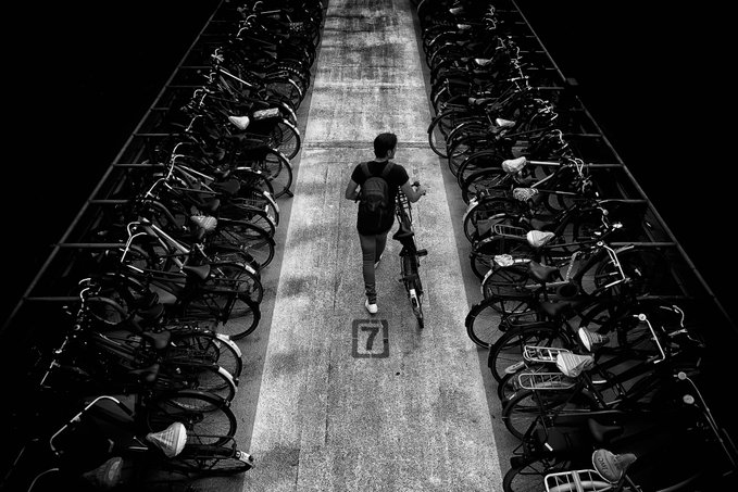 A black-and-white overhead photograph shows a person walking a bicycle down a corridor between two long rows of parked bicycles.