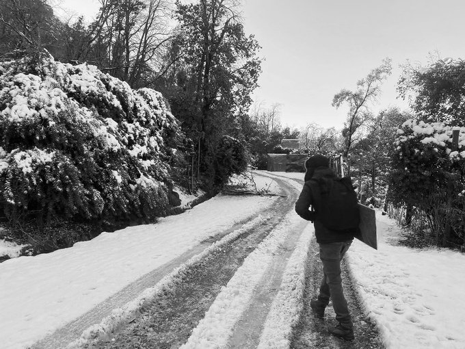 A black and white photo of a person wearing a backpack walking down a snowy road flanked by snow-covered bushes and trees.