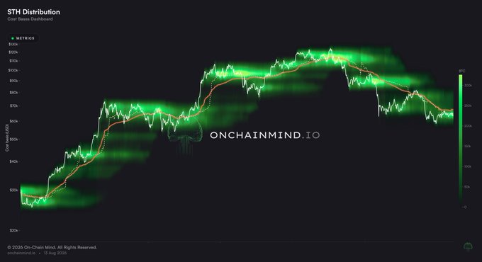 A dark-themed financial dashboard titled "STH Distribution - Cost Basis Dashboard" shows a candlestick chart with green coloring, watermarked with "ONCHAINMIND.IO."