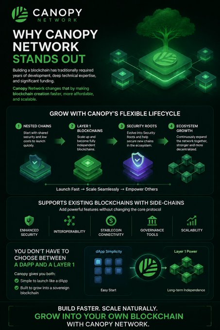 Marketing infographic for Canopy Network titled 'Why Canopy Network Stands Out,' detailing features like Nested Chains, Layer 1 Blockchains, Security Roots, and Ecosystem Growth across a flexible lifecycle.