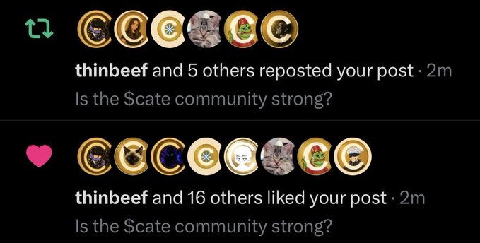 A screenshot shows a post receiving engagement from the $cate community, with "thinbeef and 5 others reposted your post" and "thinbeef and 16 others liked your post" on a poll asking "Is the $cate community strong?"—visually reinforcing the original poster's belief in the community's support.