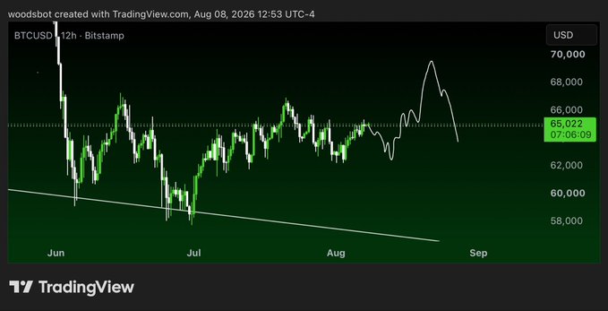 A TradingView candlestick chart of BTCUSD on Bitstamp with a 12-hour timeframe shows Bitcoin ranging between roughly $58,000 and $66,000 from June through August 2026, with a projected white line spiking toward $69,000 before pulling back, aligning with the post's note about bidding before the 68/69k resistance level.