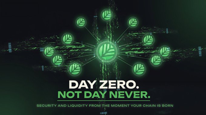 A promotional graphic with green leaf logos connected in a network over a dark satellite background, featuring the text 'DAY ZERO. NOT DAY NEVER.' and 'SECURITY AND LIQUIDITY FROM THE MOMENT YOUR CHAIN IS BORN'.