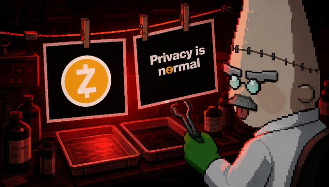 A pixel art illustration shows a scientist character in a dark, red-lit room developing photographs in trays; one hanging photo displays an orange circle with a 'Z' symbol, and the other reads 'Privacy is normal' with the 'o' stylized as a coin.
