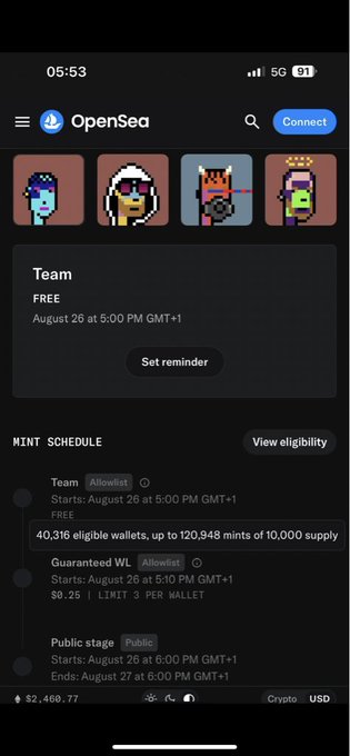 A mobile screenshot of the OpenSea app showing a pixel art NFT mint page for the 'Team' collection, featuring a mint schedule with Team, Guaranteed WL, and Public stages, and showing $2,460.77 balance.