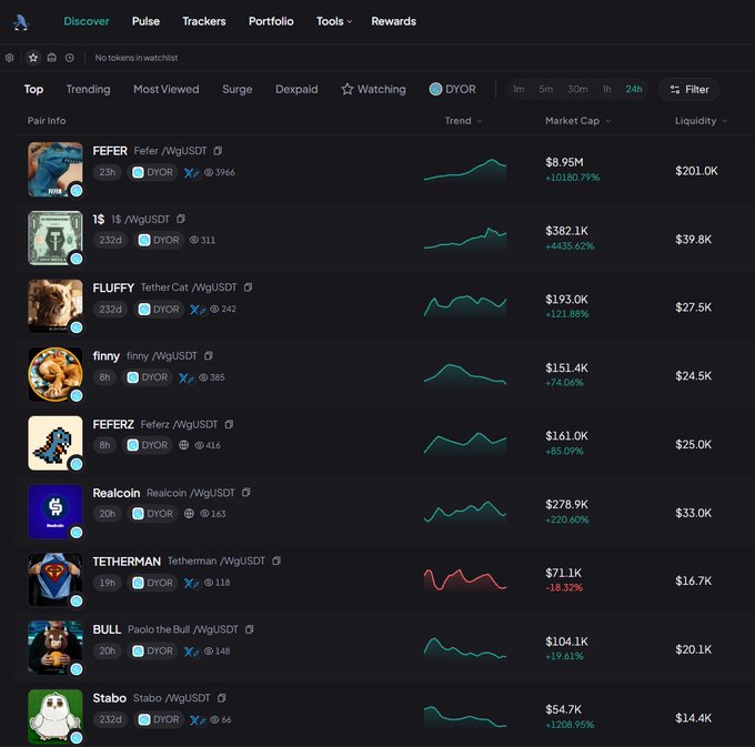 A cryptocurrency tracking dashboard on DYOR showing top trending tokens including FEFR (+10180.79%), IS (+4435.62%), FLUFFY (+121.88%), and finny (+74.06%) on the Solana network.