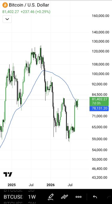 A Bitcoin/USD weekly candlestick chart shows BTC trading at $81,402.27, up $237.46 (+0.29%), with price action climbing back above the 50-week moving average (blue line at ~$78,131.20) for the first time in roughly a year following a decline from highs near $120,000.