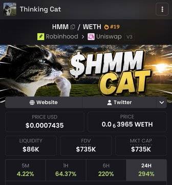The image shows the DexScreener page for "$HMM CAT" token (ticker HMM), displaying a $735K market cap with a 294% 24-hour gain, branded as the "Thinking Cat" meme coin available on Uniswap v3 with a 0.3965 WETH price. The dashboard's bullish 300%+ surge and low market cap directly support the post's argument that $HMM CAT could be a high-upside beta play to $CASHCAT.