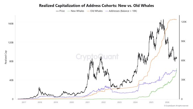The image shows a CryptoQuant chart titled "Realized Capitalization of Address Cohorts: New vs. Old Whales," tracking BTC realized cap (left axis, 0-160B) alongside price (right axis, 0-120K) from 2017 to 2025. The orange "Old Whales" line surged sharply in late 2024, while the green "New Whales" line continues rising steadily, visually supporting the post's claim that old whales finished accumulating in 2024 while new whales are still building positions for the next rally.
