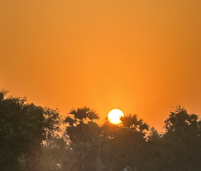 A warm orange sunset glows behind silhouettes of palm trees and tropical foliage.