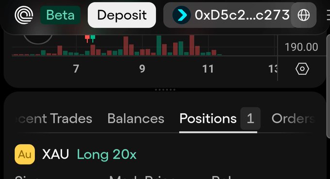 A screenshot from the Ondo Perps platform (app.ondoperps.xyz) shows a price chart with the user's open "XAU Long 20x" gold position visible in the Positions tab. The wallet address 0xD5c2...c273 and price level around 190.00 are displayed, illustrating the user's experimental long position on gold while testing the platform's points program.