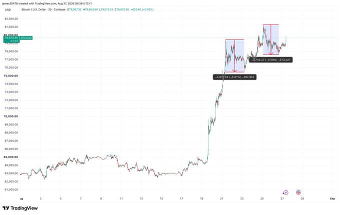 A Bitcoin/USD TradingView 30-minute chart from August 27-29, 2025 shows a sharp rally from around $65,000 to $80,000, annotated with two blue rectangles and red arrows marking downward retracements of -2.63% and -4.86%.