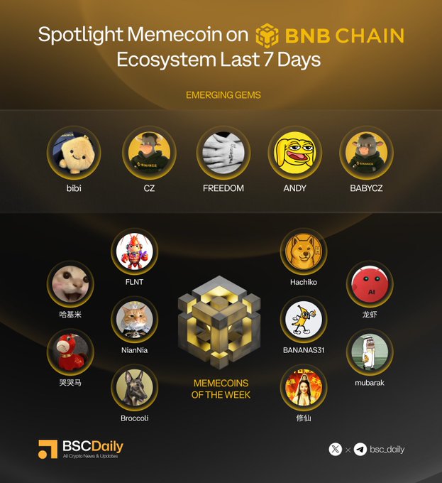 The image is a promotional graphic from BSC Daily highlighting the "Spotlight Memecoin on BNB CHAIN Ecosystem Last 7 Days," featuring a BNB Chain logo and a golden, honeycomb-inspired design. It showcases "Emerging Gems" (bibi, CZ, FREEDOM, ANDY, BABYCZ) at the top and "Memecoins of the Week" (哈基米, FLINT, NianNia, Broccoli, Hachiko, BANANAS31, AI/龙虾, 修仙, mubarak, and another character) surrounding a central golden cube, matching the text's listed tokens and projects.