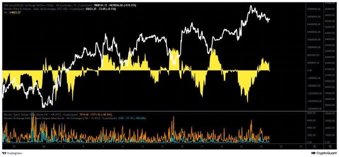 A TradingView/CryptoQuant chart showing Bitcoin price action with yellow histogram bars indicating exchange netflow and bitcoin spent output age bands at the bottom.