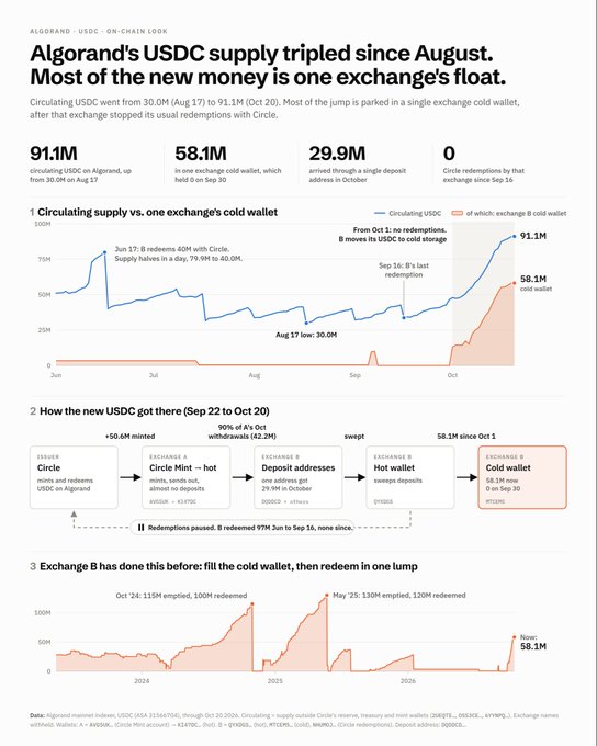 A detailed infographic titled 'Algorand's USDC supply tripled since August. Most of the new money is one exchange's float,' showing charts of circulating supply, cold wallet holdings, and exchange deposit flows.