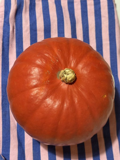 A large orange pumpkin with a green stem rests on a blue and white striped cloth.