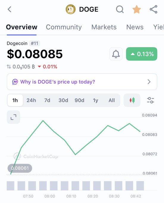 A CoinMarketCap screenshot showing Dogecoin (DOGE) priced at $0.08085, up 0.13%, with a green price chart for the 1-hour timeframe.