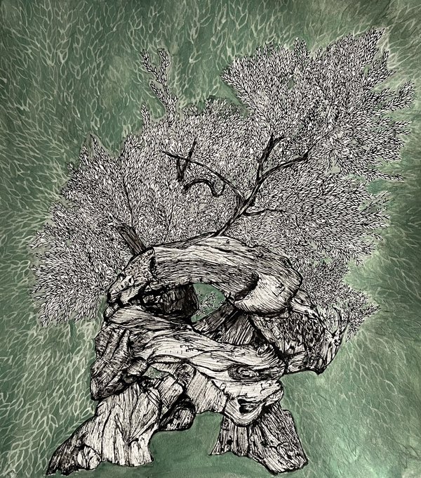 A detailed pen-and-ink drawing of a gnarled, twisted tree trunk with a full canopy of leaves, set against a textured green background.