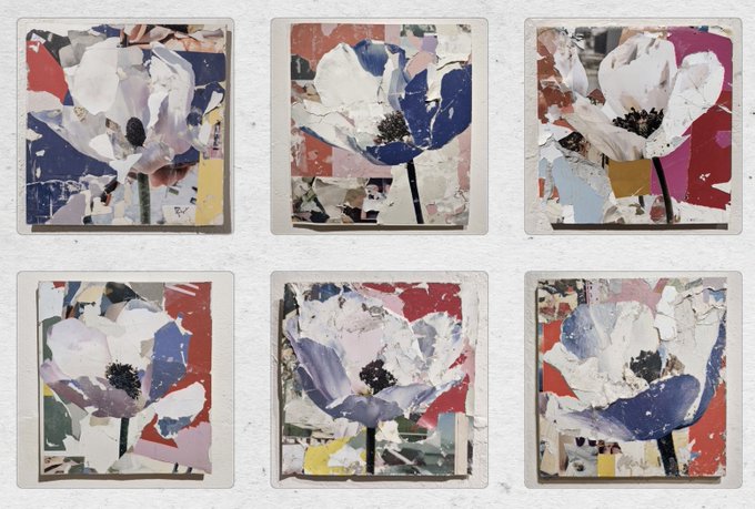 A grid of six mixed-media collage artworks, each depicting a white poppy flower against abstract backgrounds of red, blue, pink, and yellow fragments, representing the "Fragments of Growth" NFT collection by visual artist Jenyavy Guzov.