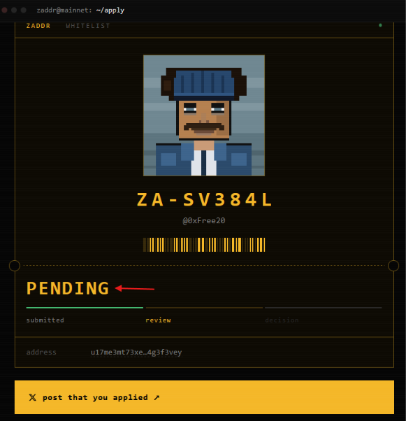 A digital application status page shows a pixel art character with the ID 'ZA-SV384L', a 'PENDING' status indicated by a red arrow, and an address starting with 'u17me3mt73xe'.