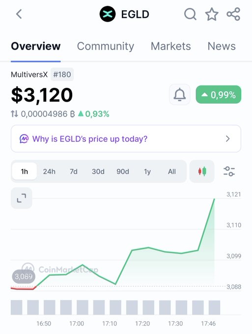 CoinMarketCap overview page for MultiversX (EGLD) showing a price of $3,120 with a 0.99% increase, and a 1-hour price chart trending upward.