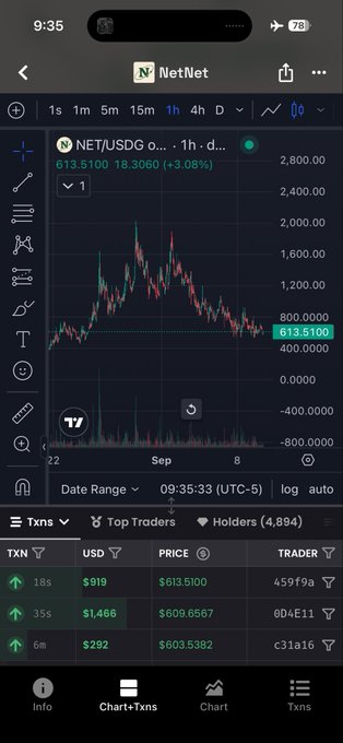 A mobile trading chart for NET/USDC showing a 1-hour candle chart with current price at 613.5100 (+3.08%), displaying transaction details and top traders at the bottom.
