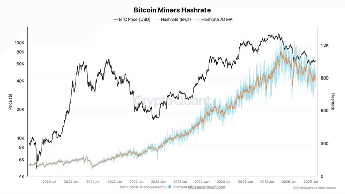 The chart titled "Bitcoin Miners Hashrate" displays BTC Price [USD] (black line) alongside Hashrate [EH/s] (blue) and its 7D moving average (orange) from 2020 through projected 2026, showing Bitcoin's price peaking above $100K around late 2025 before declining, while hashrate growth has remained relatively steadier despite the 49% price drop—visually supporting the post's point that mining hashrate (down only 23%) is holding up far better than price, indicating no capitulation despite shrinking miner economics.