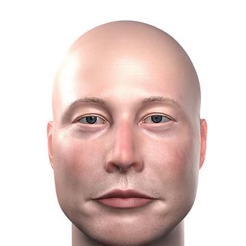 A 3D rendered, bald male face with neutral expression is shown, which has no direct relation to the crypto scam text offering to double money sent to a Solana wallet address.