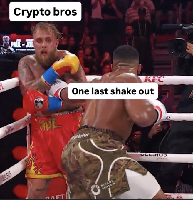 A meme from a boxing match featuring Jake Paul and another fighter, with overlay text reading 'Crypto bros' and 'One last shake out'.