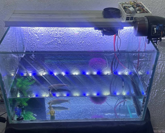 An illuminated aquarium with blue LED lights featuring fish, plants, and visible wiring connected to electronic equipment mounted on top.