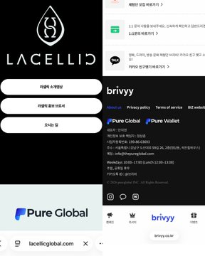 Screenshots of the LACELLIG website and app showing navigation options (Business inquiry, Investment inquiry, etc.) and information for 'Pure Global' and 'brivvy' services.