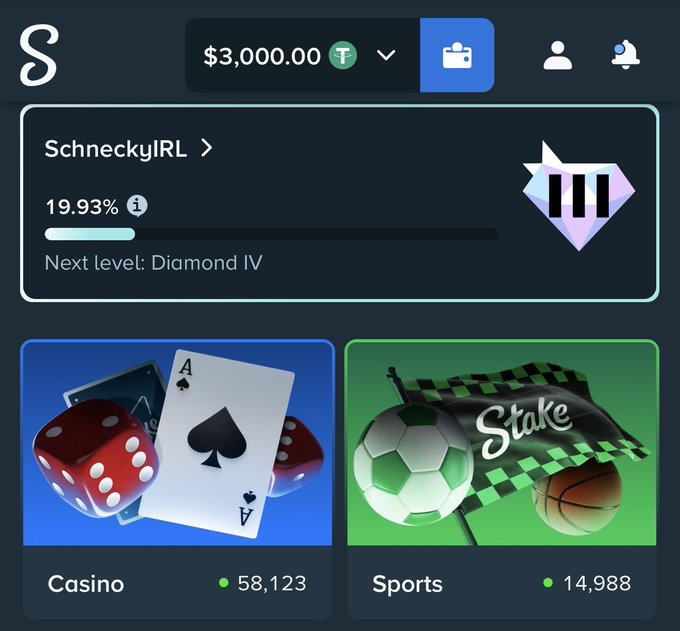 The image shows a Stake.com dashboard for user "SchneckyIRL" with a balance of $3,000.00 and a VIP level of Diamond IV at 19.93%. The visual ties into the birthday giveaway announcement, as the displayed $3,000 balance matches the $3,000 total prize pool being offered to 30 followers for the creator's 30th birthday celebration.