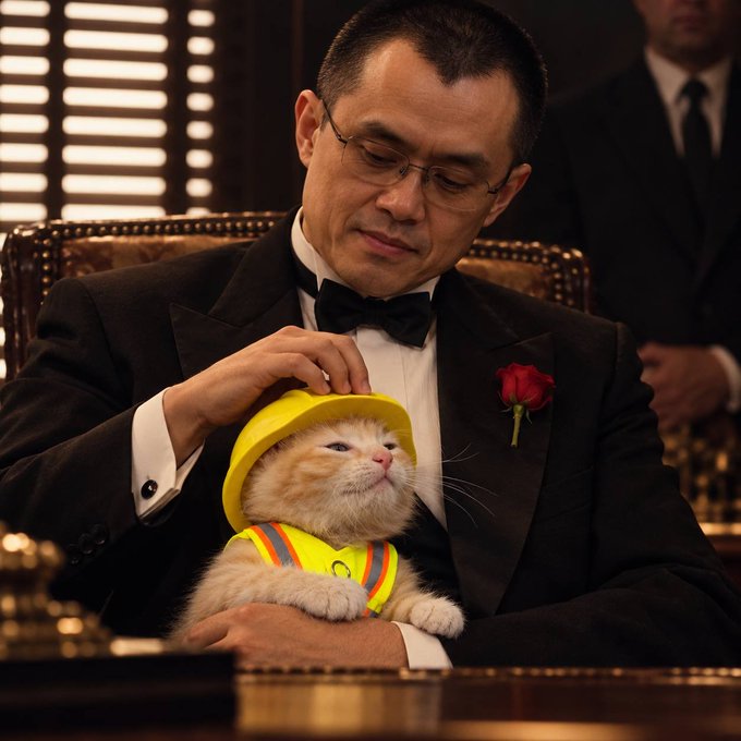 Image of a man in a black tuxedo with bow tie and red rose boutonnière holding a white cat dressed in a yellow hard hat and safety vest.