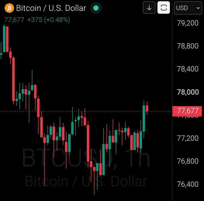 A Bitcoin (BTCUSD) candlestick chart showing the current price at 77,677, up +375 (+0.48%), with price levels ranging from 76,400 to 79,200 visible on the y-axis.