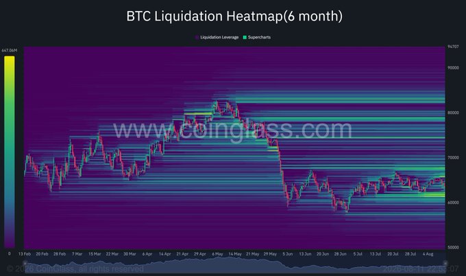 A 6-month BTC liquidation heatmap from Coinglass showing bitcoin price action from February 13 to August 11, 2026, with price ranging between $60,000 and $94,000, overlaid with liquidation leverage density zones. The candlestick chart tracks BTC's rally to around $90,000 in May 2026 followed by a decline toward $65,000 in June, with horizontal bands indicating clustered liquidation levels across major support and resistance areas.