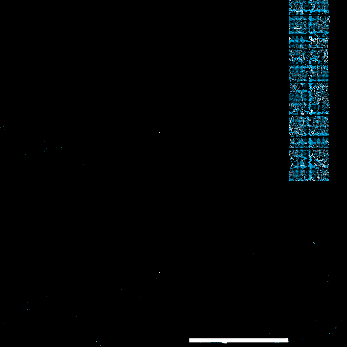 A screenshot from a mobile app showing a mostly blank white screen with a blue textured column on the right side and a white navigation bar at the bottom.