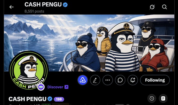 Screenshot of a Twitter/X profile page for 'CASH PENGU' (verified, 198) with 8,551 posts, featuring artwork of penguins in nautical attire on a yacht.