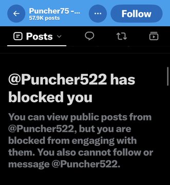 A screenshot from Puncher75's account on the social media platform shows a message stating "@Puncher522 has blocked you," explaining that while public posts remain visible, the user cannot follow, message, or engage with @Puncher522. This aligns with the accompanying post's theme of reflecting on hypocrisy, as the blocking likely represents how "some people practice what they preach, others just preach," suggesting @Puncher522 silenced criticism rather than addressing it openly.