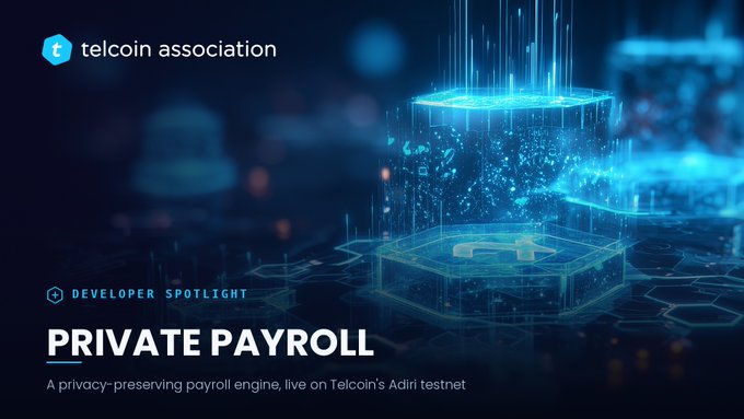 Promotional graphic for Telcoin Association's Developer Spotlight on Private Payroll, featuring the Telcoin Association logo and bold headline text against a dark blue background with glowing digital cube visuals. The image illustrates the accompanying post about a privacy-preserving payroll engine built on Telcoin's Adiri testnet, visually representing the secure, encrypted nature of blockchain-based salary settlements.
