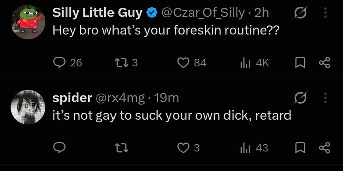 Two Twitter posts shown on a dark background: 'Silly Little Guy @Czar_Of_Silly' asks 'Hey bro what's your foreskin routine??' with 84 likes, and 'spider @rx4mg' replies 'it's not gay to suck your own dick, retard' with 3 likes.