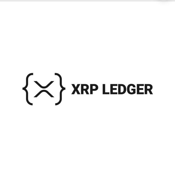 The image displays the black "XRP LEDGER" logo, featuring the recognizable curly brace and X symbol next to the brand name. This visual branding complements the news of the ledger's substantial growth, with 489,739 new accounts added in the first half of 2026.