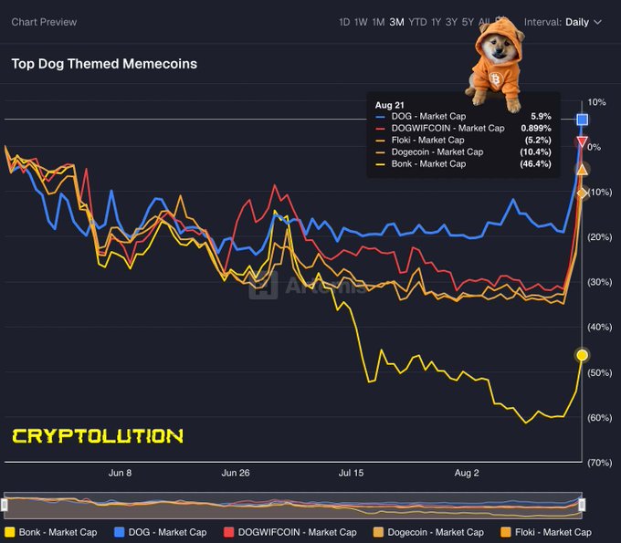 A cryptocurrency chart titled 'Top Dog Themed Memecoins' showing market cap performance of DOG, DOGWIFCOIN, Floki, Dogecoin, and Bonk with a 3-month daily interval view, featuring a Shiba Inu dog in an orange hoodie at the top.