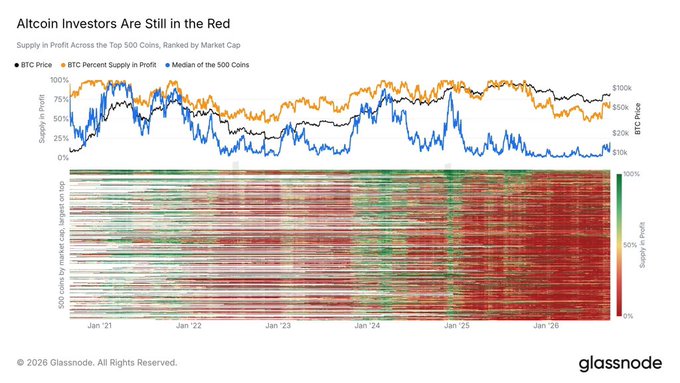 A Glassnode chart titled 'Altcoin Investors Are Still in the Red' showing BTC Price, BTC Percent Supply in Profit, and Median of 500 Coins supply in profit metrics from Jan '21 through Jan '26.