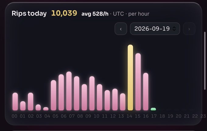 A digital dashboard displaying a bar chart titled 'Rips today' with a total of 10,039 and an average of 528/h, dated 2026-09-19, showing hourly activity in pink, yellow, and green bars.