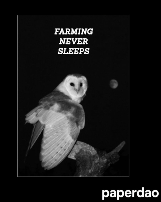 A black-and-white photo of a barn owl perched against a dark background with the moon visible, overlaid with the text "FARMING NEVER SLEEPS" and the watermark "paperdao," reinforcing the post's message that PaperDAO's farming strategies work around the clock through community pooling.